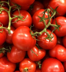 果蔬干果番茄西红柿圣女果