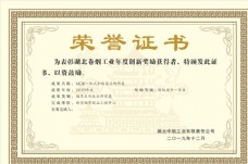 logo荣誉证书