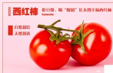 西红柿宣传图