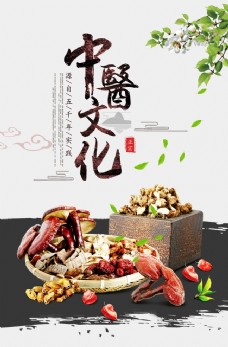 中国药材中医文化复古国风医药药材海报