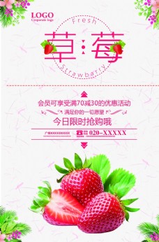 创意画册草莓海报
