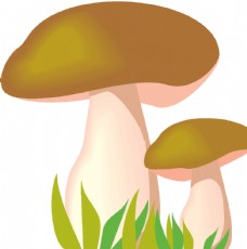 蘑菇香菇图片免费下载,蘑菇香菇设计素材大全,蘑菇香菇模板下载,蘑菇