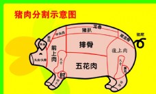 商品猪肉分割图
