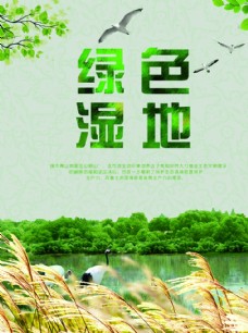 树木湿地海报