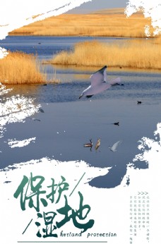 画册设计湿地海报