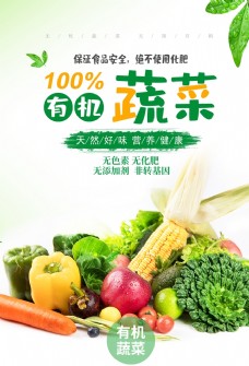 绿色蔬菜有机蔬菜海报