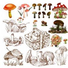 树木蘑菇