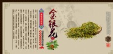 中国药材中国风传统中药材展板