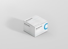 vi设计纸盒包装设计vi样机效果图贴图